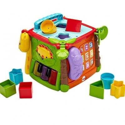 FisherPrice費雪新品玩具(公司貨)-可愛動物積木盒
